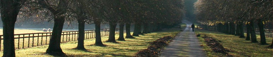Stewardship of Life Institute