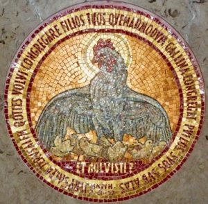 HM33-Hen-mosaic